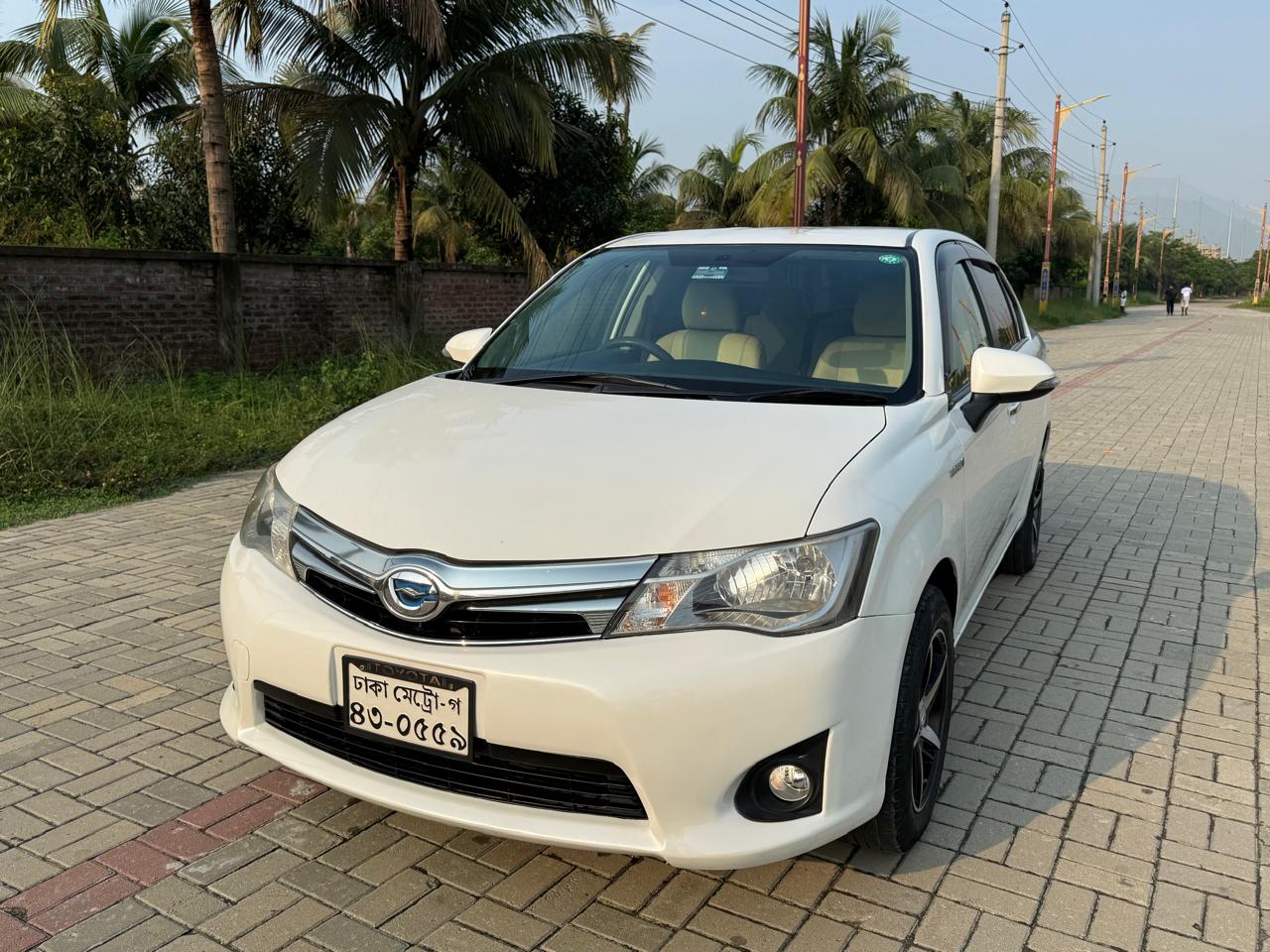
								Used Axio Hybrid 2014 for Sale full									